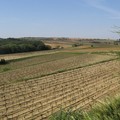 Rh_ne_Sud___04_06_031