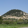 Rhône Sud 2006