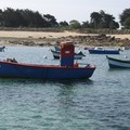 Tr_gor_06_2006_063