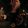 Flamenco, la Casa de los Jacintos