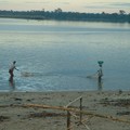 Femmes en train de pêcher dans le Canal des Pangalanes